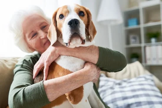 Finding the Best Animal Hospital in Downey: What Pet Owners Need to Know - JustPaste.it