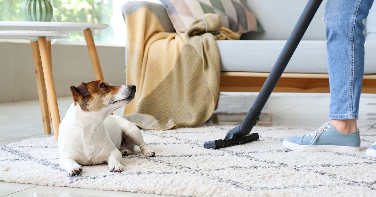 Eco-Friendly Floor Cleaning Services: Safe for Your Family and Pets | Proper News Time