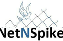 Bird Netting Services in Delhi NCR — Get rid of birds with NetnSpike