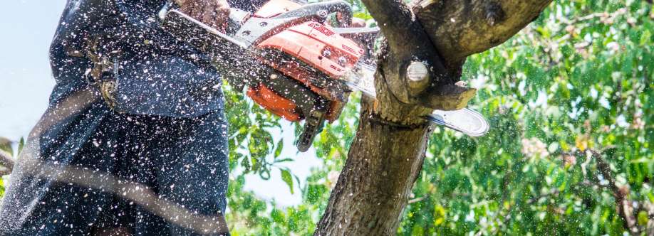 Maldonado Tree Service Cover Image