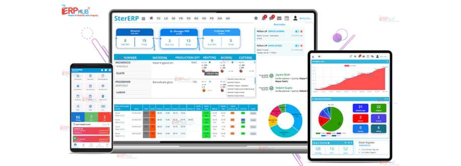 TheERPHub Software Cover Image