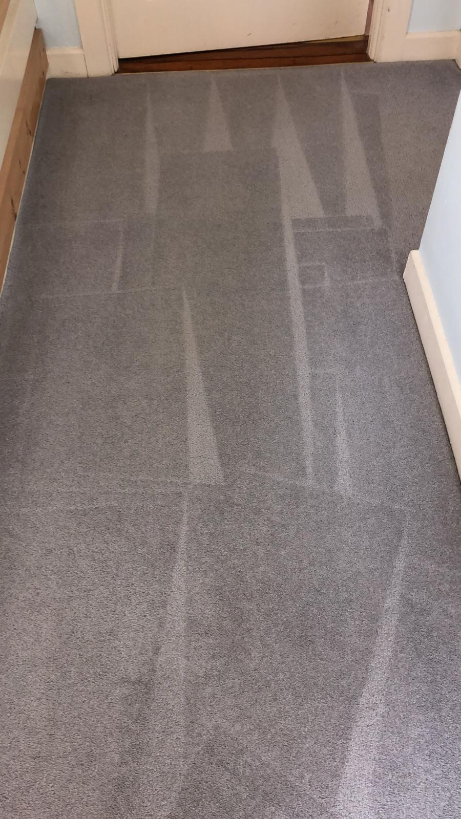 Carpet Cleaning Dublin 12 | Powerful Stain Removers
