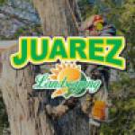 Juarez Landscaping and Tree Services Profile Picture