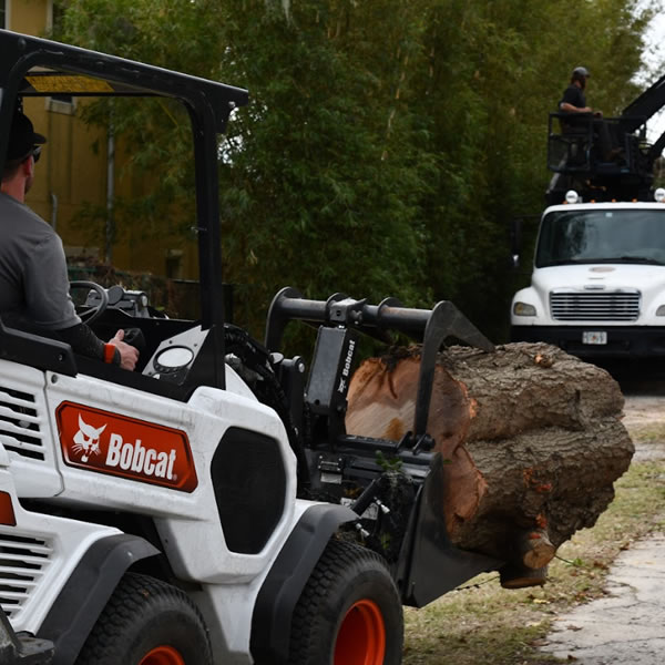 Bobcat Services Orlando - Cox Arboriculture Services