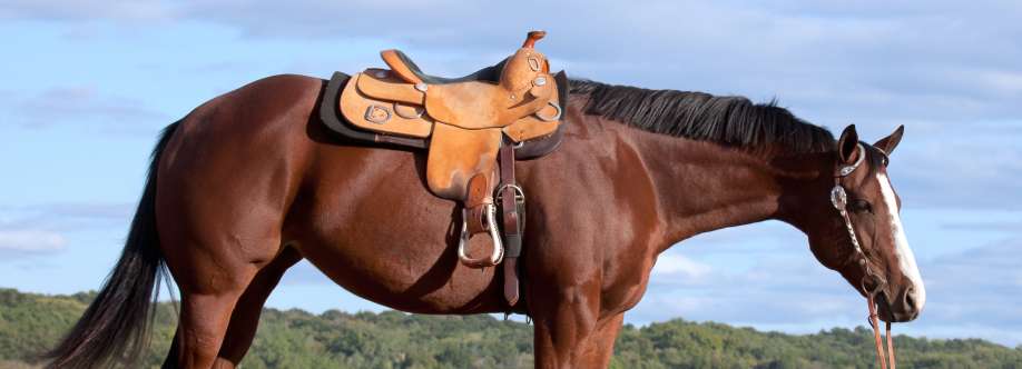McDaniel Custom Saddles Cover Image