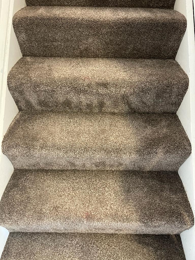 Carpet Cleaning Stepaside | Sofa, Mattress And Rug Cleaning