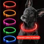Collier lumineux LED pour chien Profile Picture