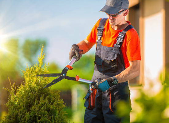 Landscaping Management Software Singapore - Genic Teams