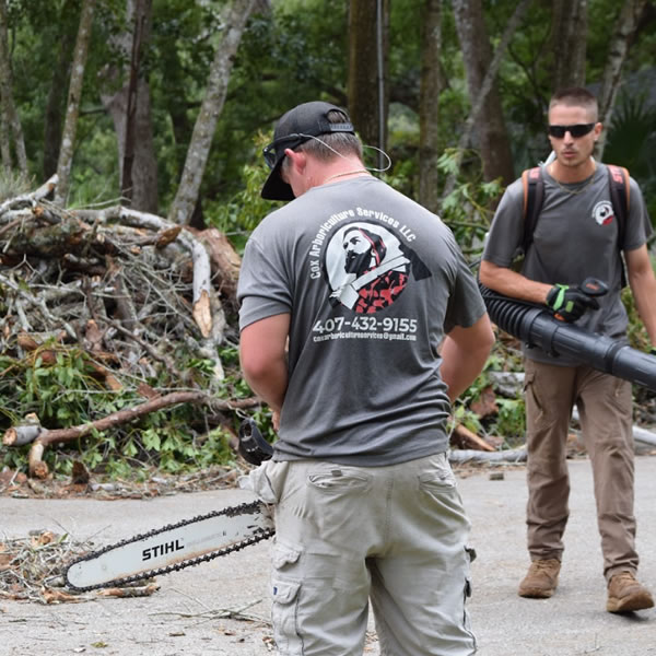 Land Clearing Services Orlando - Cox Arboriculture Services