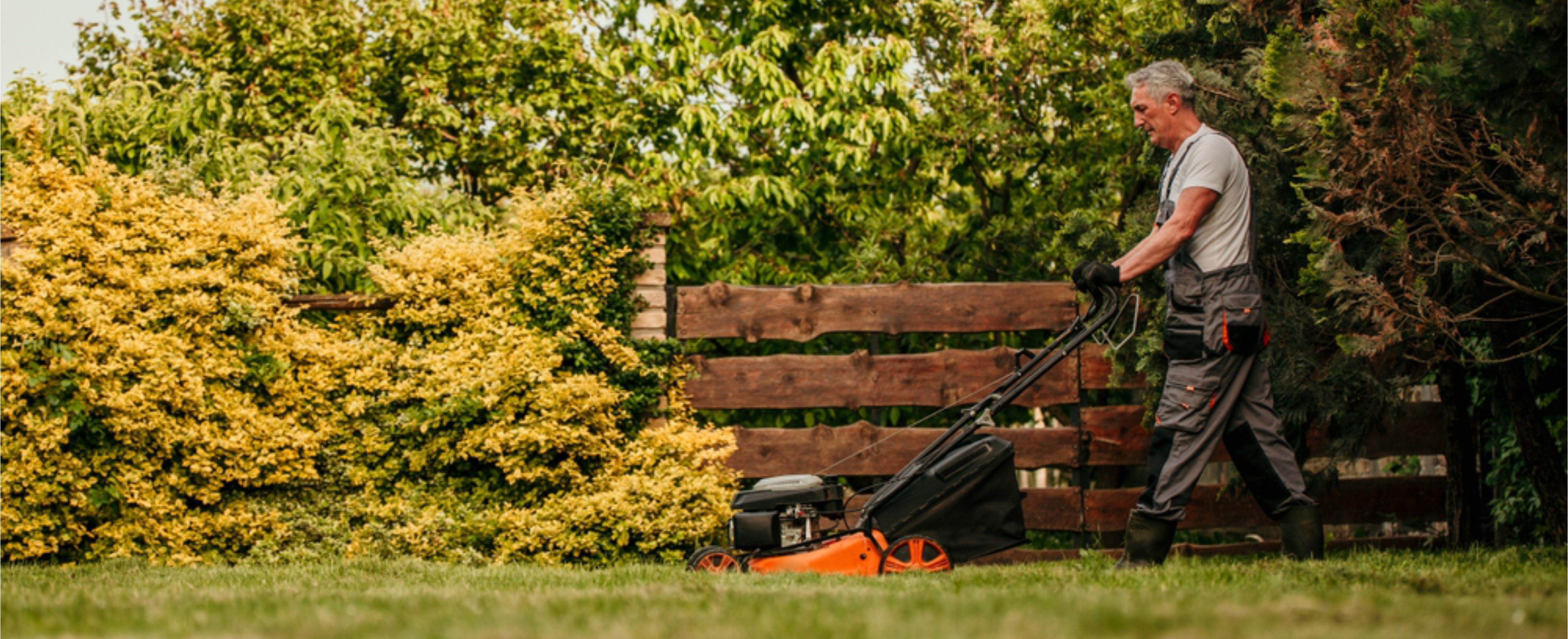 Affordable Landscaping in Adelaide