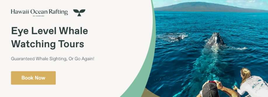 Hawaii Ocean Rafting Profile Picture