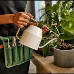 Plant watering kits Profile Picture