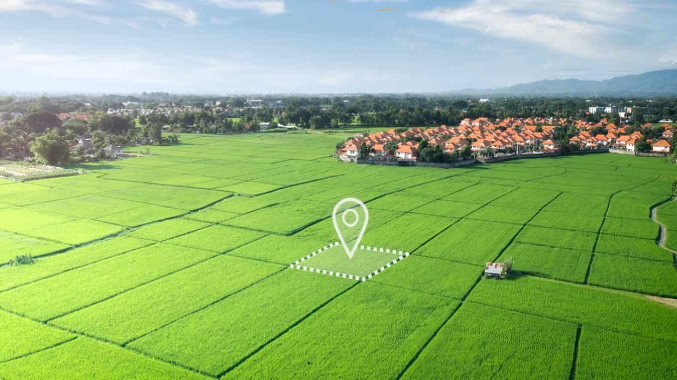 SDJS Royal City Sector 7 Badsa | DDJAY Plots in Badsa Jhajjar