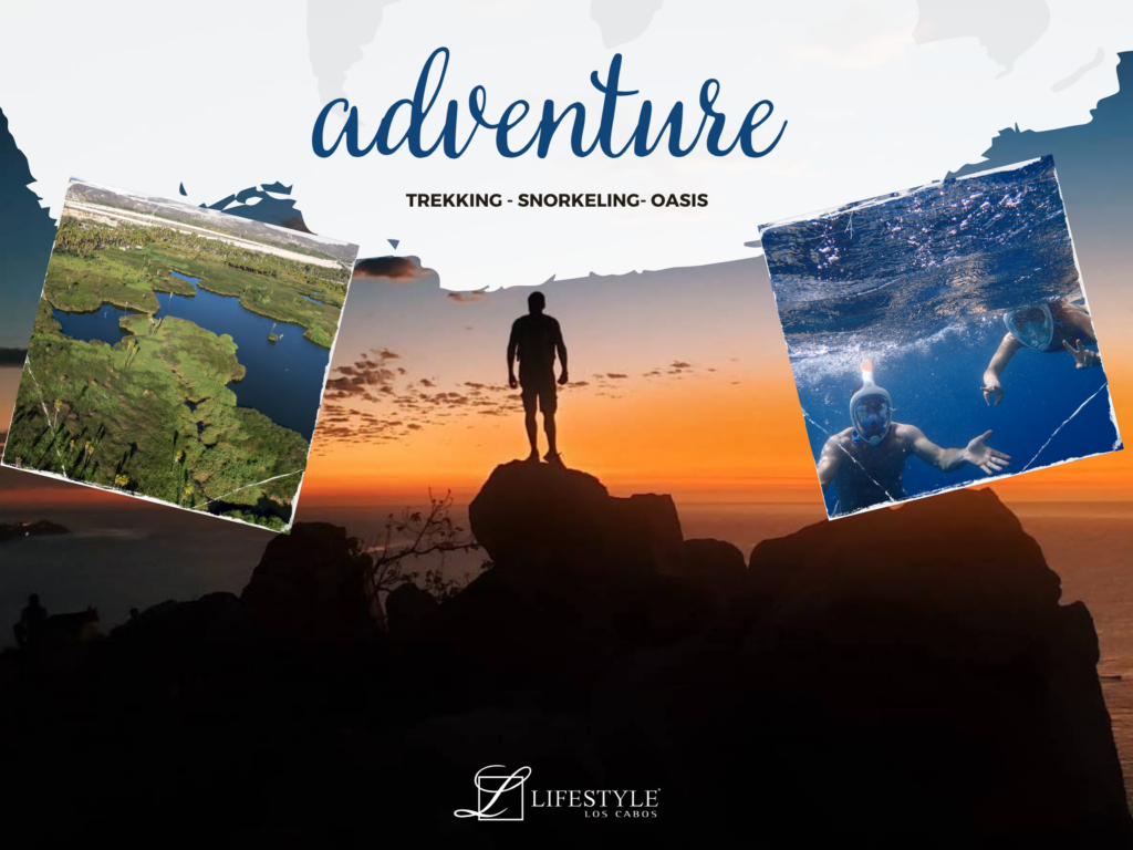 Outdoor Activities in Los Cabos: Snorkeling, Trekking & Oasis Tours