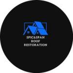 Spic And Span Roof Restoration Profile Picture