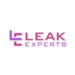 Leak Experts USA Plumbing Profile Picture