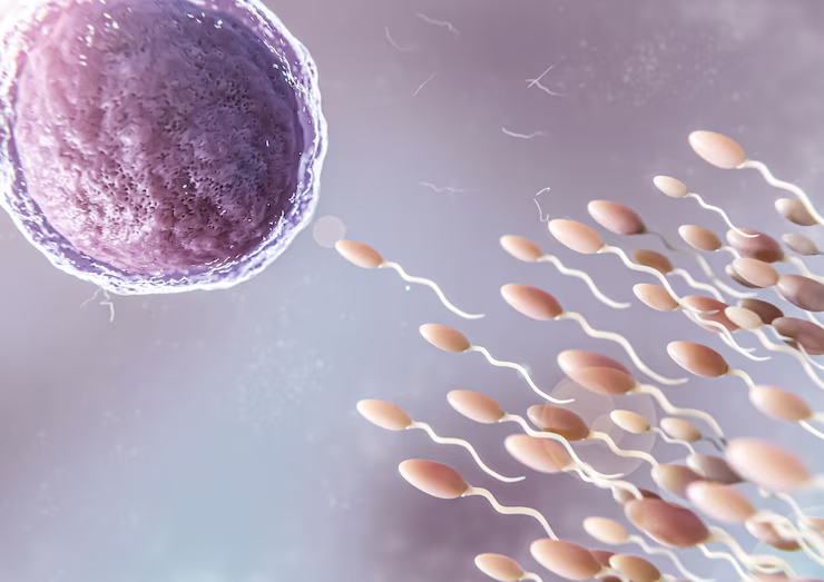 Top Sperm Bank in Bangalore: Genetics Cryobank – Genetics Cryobank