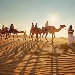 Desert Safari Sharjah Profile Picture