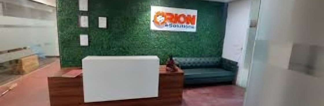 Orion eSolutions Cover Image