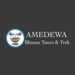 Amedewa Tours and Trek Profile Picture