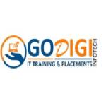 godigiinfotech Profile Picture