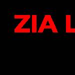 Zia Junk Profile Picture