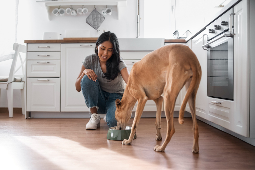 Why Your Dog Might Need a Multivitamin Syrup