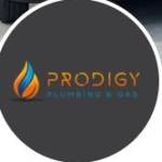 Prodigy Plumbing  Gas profile picture
