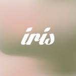 Iris Tattoo and Piercings Miami Profile Picture