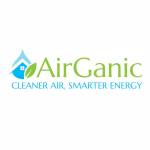 AirGanic Profile Picture