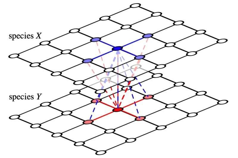 Mathematicians model a puzzling breakdown in cooperative behaviour - International Maths Challenge