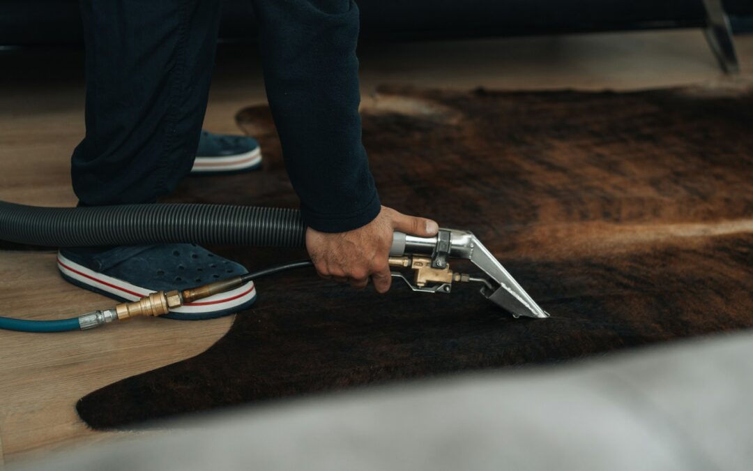 Rug Cleaning Vs Carpet Washing Service—Know the Difference - About Blavida.com