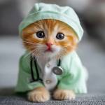 Phlebotomy Training Institute Profile Picture