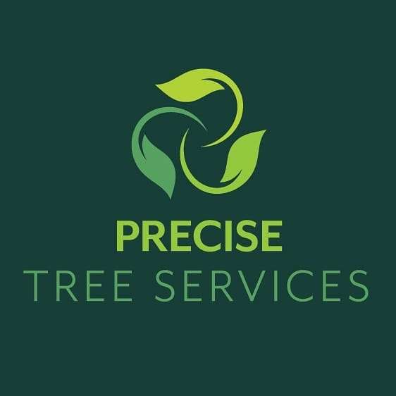 Precise Tree Services Profile Picture
