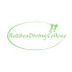 Red Sea Diving College Profile Picture