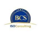 Barile Consulting Service Profile Picture