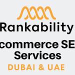 eCommerce SEO Services Profile Picture