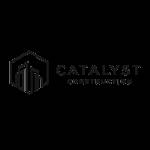 Catalyst Construction Inc Profile Picture