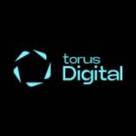 Torus Digital profile picture