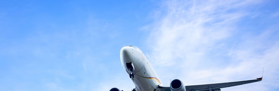 Farensky USA Cover Image