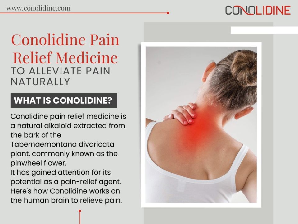 Conolidine Pain Relief Medicine To Alleviate Pain Naturally