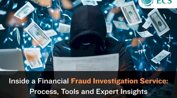 Inside a Financial Fraud Investigation Service: Process, Tools, and Expert Insights - Free Instant Approval Guest Posting Website