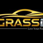 GrassD profile picture