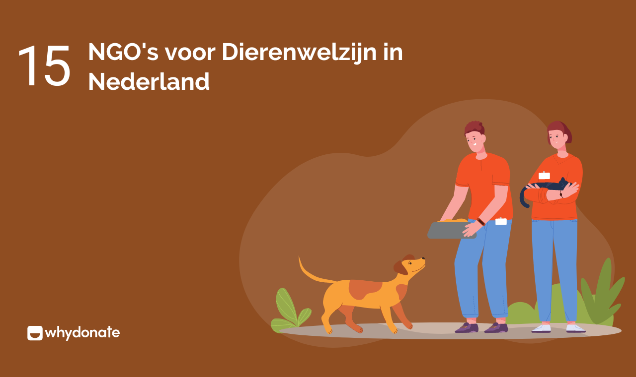 #15 Goede Doelen Dieren: Beste Charities Voor Donaties
