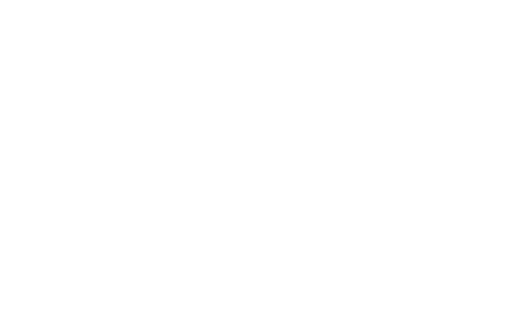 Services - Bloom Agency
