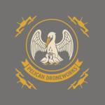Pelican DroneWorks Profile Picture