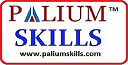 Foreign Language & IT Training Institute | Palium Skills