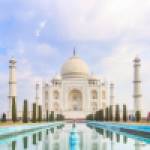 Driver India Private Tour Profile Picture