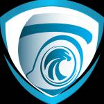 TRUSTED EAGLE SECURITY Profile Picture