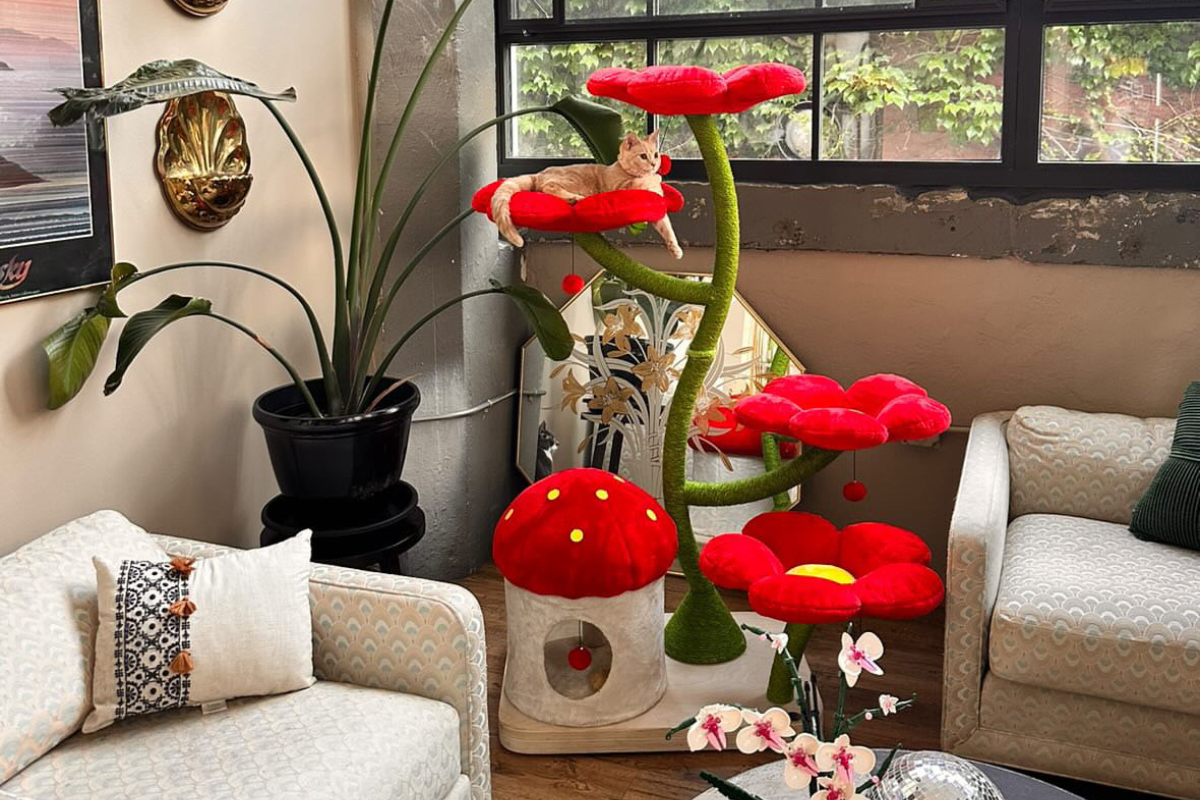 Cherry Blossom Cat Trees & More – Shop the Eden Collection | KBSPETS